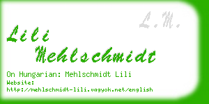 lili mehlschmidt business card